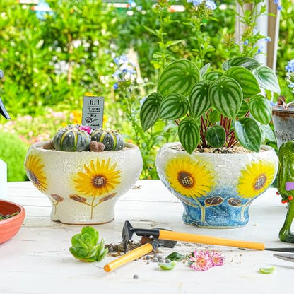 Sungmor 4in Ceramic Succulent Planters Style-e (Dia.: 6.9inch & H: 4.3inch) - color: Style-e (Dia.: 6.9inch & H: 4.3inch)