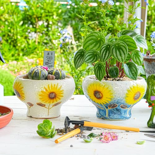 Sungmor Small Succulent Planters Set of 2, Beautiful Hand Crafted Ceramic Plant Pots Cute Cactus Pot, 6.5 Inch Flower Pots for Indoor Plants with Drainage, Desktop Windowsill Home Office Decor Pots - color: Style-e (Dia.: 6.9inch & H: 4.3inch)