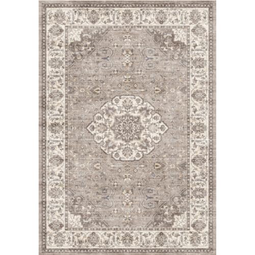HY HAOYUNLAI Washable 2x3 Entryway Area Rug Non-Slip Carpet Brown - color: Brown, size: 2' x 3' (Rectangular)