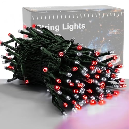HOME LIGHTING 66ft Valentines Decorative Mini Lights, 200 LED Green Wire Fairy String Lights Plug in, 8 Lighting Mode, for Indoor Outdoor Christmas Tree Wedding Party Garden Decor (Red & White) - color: Red & White