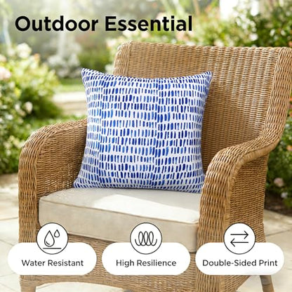 JMGBird 18x18 Pillows Blue and White Outdoor Pillows Cover with Inserts - color: Blue White
