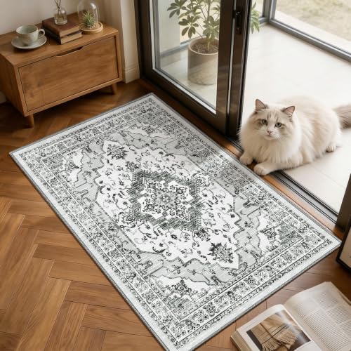 Arenarug 2x3 Washable Entryway Rug, Light Grey - color: Light Grey, size: 2' x 3' (Rectangular)