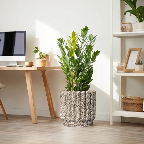 Ceramicfor Ceramic Planter, 12 Inch, Leopard Print White - color: Leopard Print White, size: 12 Inch