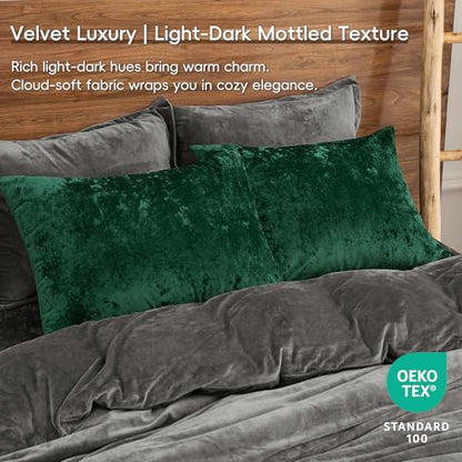 PHF Truly Velvet Pillowcases Standard 20" x 26", Emerald Green, No Insert - color: Emerald Green, size: 26" x 20" (Pack of 2)