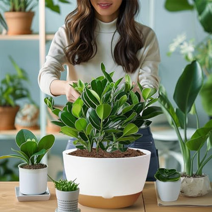 Koalaime 8/10/12 Inch Pots for Indoor Plants, Large Self Watering Planters with Drainage and Saucers, Plastic Outdoor Flower Pot, Set of 3, White - color: White
