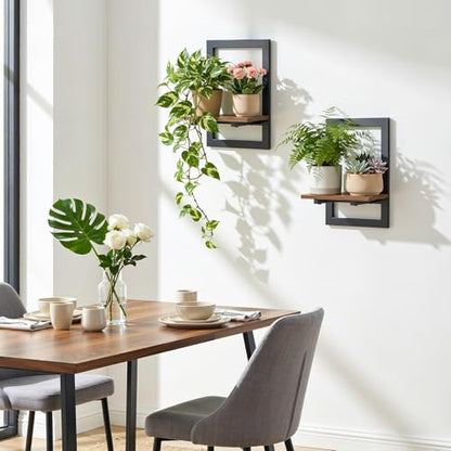Housolution 2 Pack Wall Plant Holder, Picture Frame Design Plant Shelf
