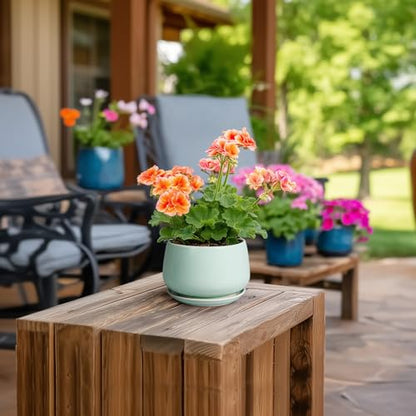 G EPGardening Ceramic Plants Pots - 4 inch Plant Pots Indoor, Green - color: Mint Green, size: 4 Inch