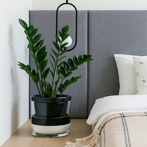 D'vine Dev Self-Watering Black Terracotta Planter Pot, 10 in, 37-X-D-3 - color: Black, size: 10 Inch