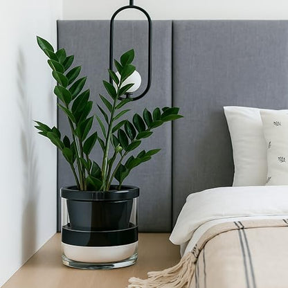 D'vine Dev Self-Watering Black Terracotta Planter Pot, 10 in, 37-X-D-3 - color: Black, size: 10 Inch