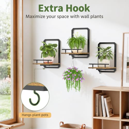 LASZOLA Plant Picture Frame Holder Shelf Wall Window Indoor, 3 Pcs Brown - color: Brushed Black+Brown, size: 3