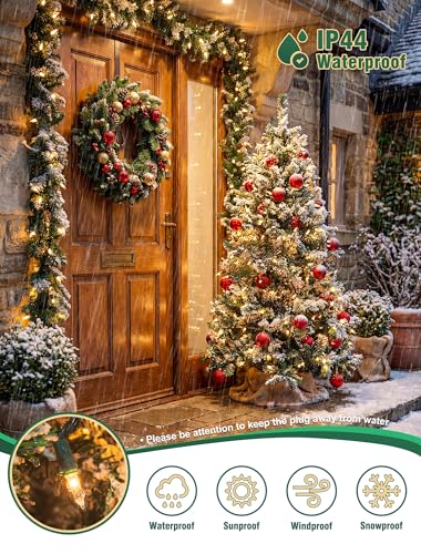 Hopolon Clear Christmas Lights, 13 FT 50 Count String Lights Green Wire - color: Clear,Green Wire, size: 1PACK, 50 count