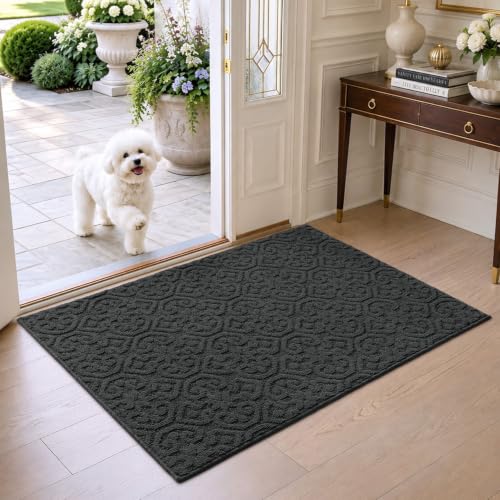 DEXI Front Door Mat Indoor Entrance, 3x5 Entryway Doormat, Dark Grey - color: Dark Grey, size: 36" X 60" (Rectangular)