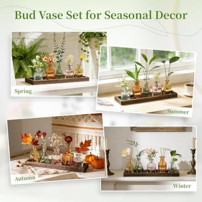 Glasseam Glass Bud Vase for Centerpiece: Small Flower Vases in Wooden Tray - color: Colorful-amber