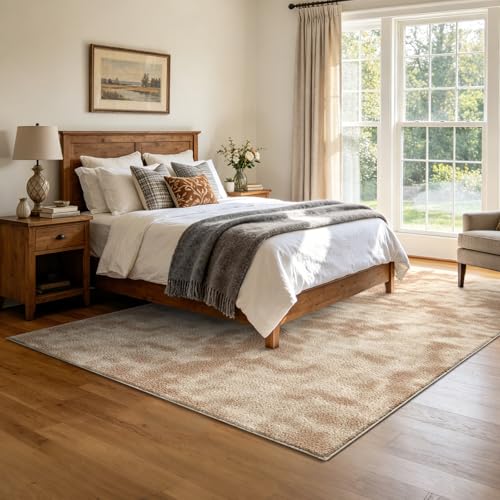 4x6 Tie-dye Beige Area Rug Washable Non-Slip Soft for Bedroom Living Room - color: 01 Tie-dye Beige, size: 4' x 6' (Rectangular)