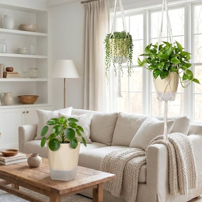 MIPON 3 Size Self Watering Hanging Planters with Macrame Plant Hanger