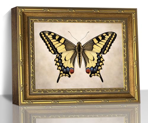Vintage Yellow Butterfly Animal Insect Gold Frame Wall Art Canvas Print - color: Yellow Swallowtail Butterfly, size: 11"L x 9"W