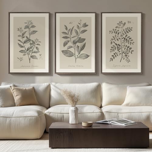 Large Framed 3 Piece Vintage Botanical Wall Art for Living Room, 20x30 In - color: Vintage Neutral, size: 20" W x 30" H x 3Pcs