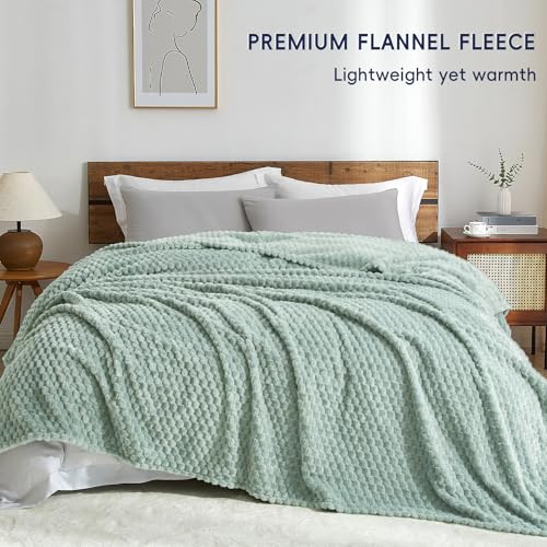 PHF Soft Cozy Fleece Blanket Queen, 340GSM Lightweight Warmth, Sage Green - color: Sage Green, size: Queen(90"x90")