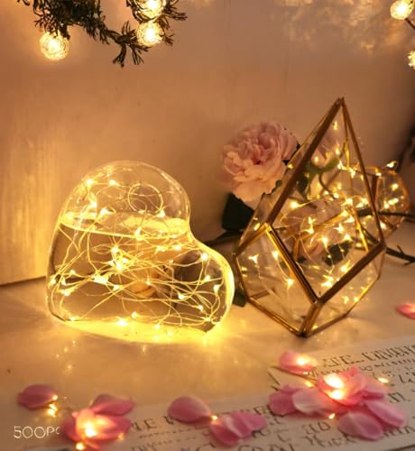6 Pack Fairy Lights Battery Operated With Timer,2 Remotes,20 LED Warm White - color: Warm White, size: 6.5ft