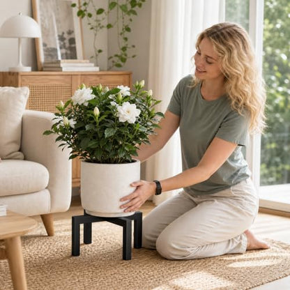 pickpiff Plant Stand Indoor Outdoor Flower Holder Metal 150lbs 2-Pack - size: 2 Pack