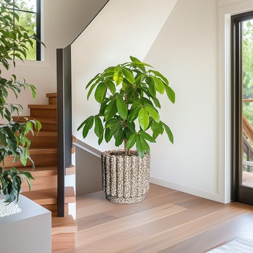 Ceramicfor Ceramic Planter, 12 Inch, Leopard Print White - color: Leopard Print White, size: 12 Inch