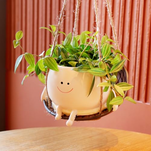 NINIPAPA Hanging Swing Chair Planter Pot Smile Face Plant Pot for Indoor Outdoor Plants Cute Head Flower Pots for Succulent String of Pearls Unique Gift on Mother's Day, Birthday, Christmas - Large - size: Large