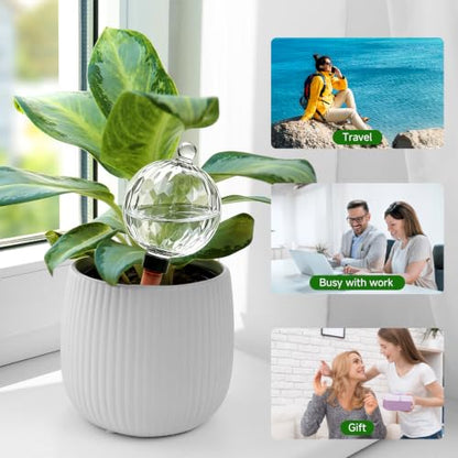 Plant Watering Globes, 26oz Extra Large Top Fill Self Watering Globes, Water Globes, Plant Water Bulbs, Watering Bulbs for Indoor Outdoor Planters, Water Plants While Away 3-Pack - size: 3-Pack