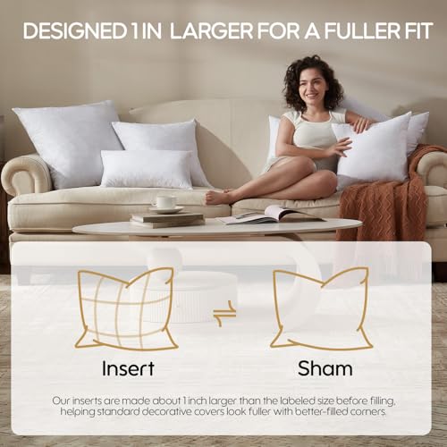 Feather Throw Pillow Inserts Set of 4, Soft Fluffy Square 22 x 22 Inches Decorative Pillow Insert, Feather and Down Euro Pillows for Bed, Couch and Cushion - size: 22 x 22-Inch