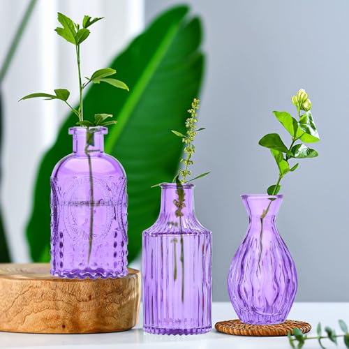 Glass Bud Vase Set of 15, Small Glass Vases for Flowers