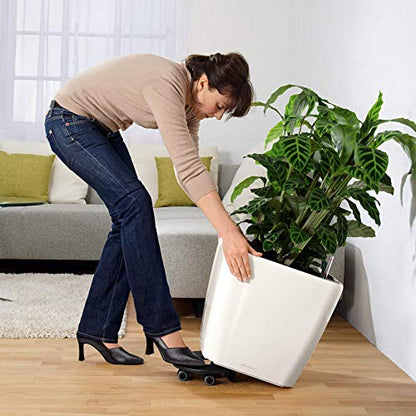 Lechuza Quadro LS 43 Charcoal Metallic, Self-Watering Square Planter, H15.4 L16.9 W16.9 in - color: Anthracite Metallic, size: H40 L43 W43 cm