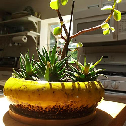 ARTKETTY Succulent Pots, 7.3 Inch Ceramic Bonsai Pots with Drainage Tray - color: Yellow