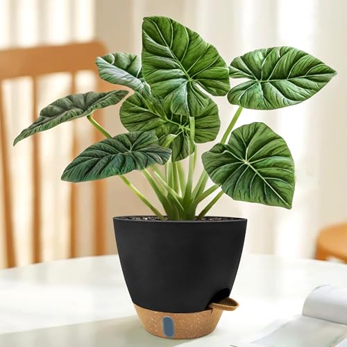 12/10/9/8 inch Self Watering Pots with Visual Water Window, Extra Large Self Watering Plant Pot with Drainage Holes and Saucers, Black Flower Pots for Indoor Plants - color: Black