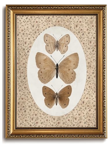 Vintage Butterfly Wall Art gold Framed Butterfly Pictures Wall Decor - color: Butterfly, size: 16"L x 12"W