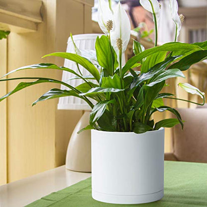 D'vine Dev Plastic Planter Pot with Saucer, 8 in, White, 74-X-A-1 - color: Matte White, size: 8"