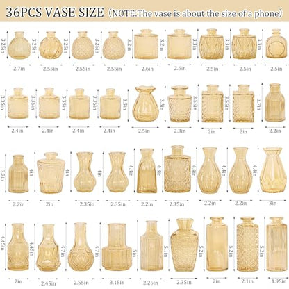 Set of 36 Glass Bud Vases Small Flower Vases for Centerpieces(Champagne) - color: Champagne