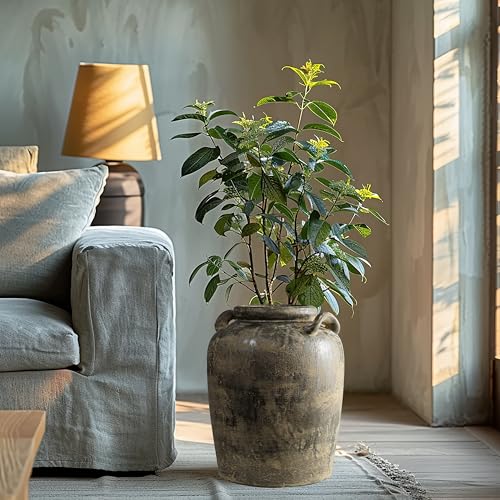 LuxenHome 15'' Rustic Ceramic Flower Vase, Brown - color: Brown 15''