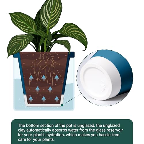 D'vine Dev Self-Watering Blue Terracotta Planter Pot, 10 in, 37-X-D-4 - color: Blue, size: 10 Inch