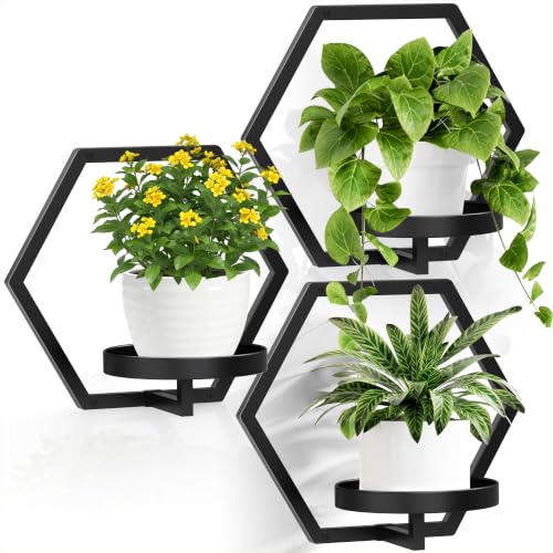 3 Packs Wall Planters for Indoor Plants, 5.9inch Metal Wall Plant Holder Hanger Wall Decor, Wall-Mounted Hanging Planters Window Plant Shelves Outdoor (Black) - color: Black