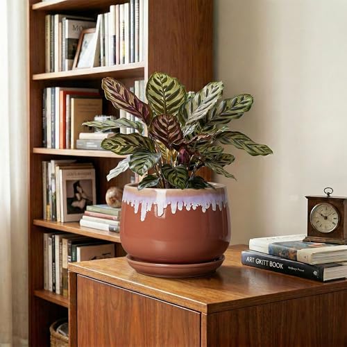Ceramic Pots for Plants 7 Inch, Ceramic Planters, Red-Purple - size: 7 Inch, style: Red-purple