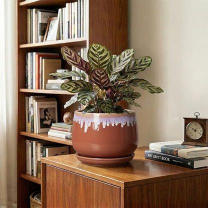 Ceramic Pots for Plants 7 Inch, Ceramic Planters, Red-Purple - size: 7 Inch, style: Red-purple