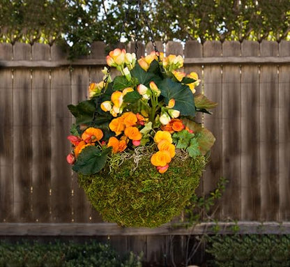 SuperMoss (29201) MossWeave Hanging Basket - Round, Fresh Green, Medium (14.5 Diameter)" - size: Medium (14.5" Diameter)