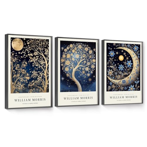 OVVGVV William Morris Wall Art set of 3 large Framed Vintage botanical Colorful Abstract Nature Flowers Canvas Art for Living Room Bedroom Office Decor(Style9, 3pcs 12x16 Black Frame) - color: Type9-Black, size: 12x16 in