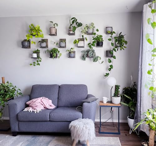 Daniel's Plants 3-Pack Mid-Century Modern L-Shaped Floating Shelves | Solid Wood Plant Wall Shelf Kit | Dusk Grey - color: Dusk Grey