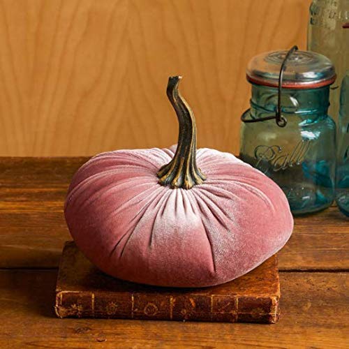 Your Heart's Content Blush 6.25 inch Velvet Pumpkin (Blush) - color: Blush