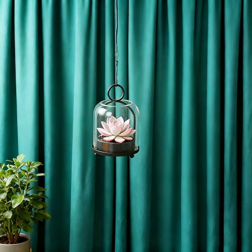 5"x7.5" Versatile Modern Metal Hurricane Lantern with Handmade Sturdy Glass Dome in Black for 3" Pillar Candle & Plants, Industrial, Farmhouse - color: Black, size: 5"x7.5"