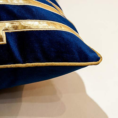 Avigers Throw Pillow Cover 18 x 18 Inch, Blue, Velvet, Hidden Zipper - color: Blue, size: 18" x 18" (Pack of 1)