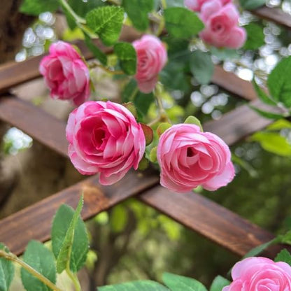 2X 6FT Fake Rose Garland, Flower Garland,Artificial Flower wild Rose Vine - color: Pink, size: 2