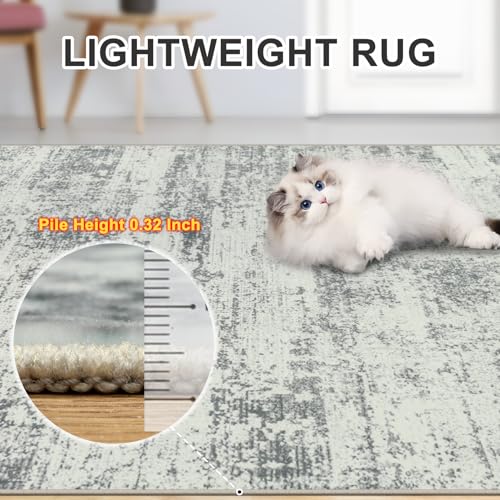 PLHXFR 8x10 Area Rug Living Room: Modern Abstract Washable Carpet Grey - color: Grey, size: 8' x 10' (Rectangular)