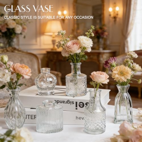 Petal Petite Small Clear Glass Bud Vase Set of 6 for Wedding Centerpieces - color: Clear