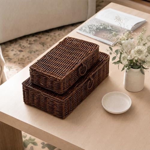 Hushee Set of 2 Wicker Storage Baskets with Lid Woven Wicker Storage Bins Woven Rattan Decorative Boxes with Lid for Shelf Organizer Coffee Table Bathroom Living Room Decor